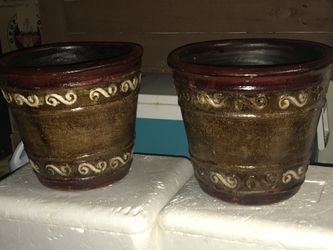 Maseteros medianos