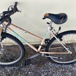 Old Bicycle 