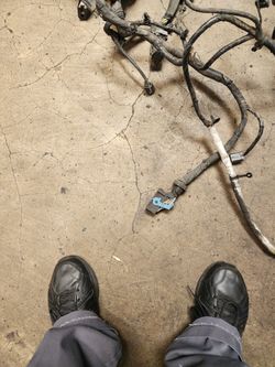 2015 2.5 Escape Wiring Harness