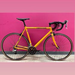 Fully Rebuilt Vintage Cannondale Caad 3 Carbon Fiber Fork, Aluminum Frame