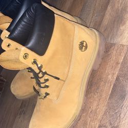 Timberland Limited Biggie Edition Size 12