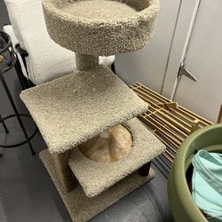 Cat House