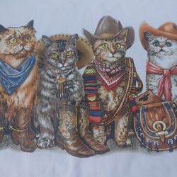 KITTY WESTERN T SHIRT