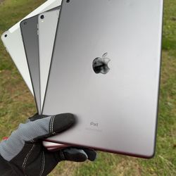 iPads 5 / 6 / 8 / Pro
