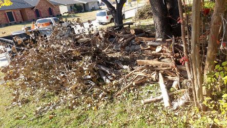 Trash  remover  Basura 