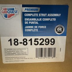 Carquest Complete Strut Assembly