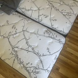 Twin Mattresses