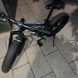 Adult Teens Bike 