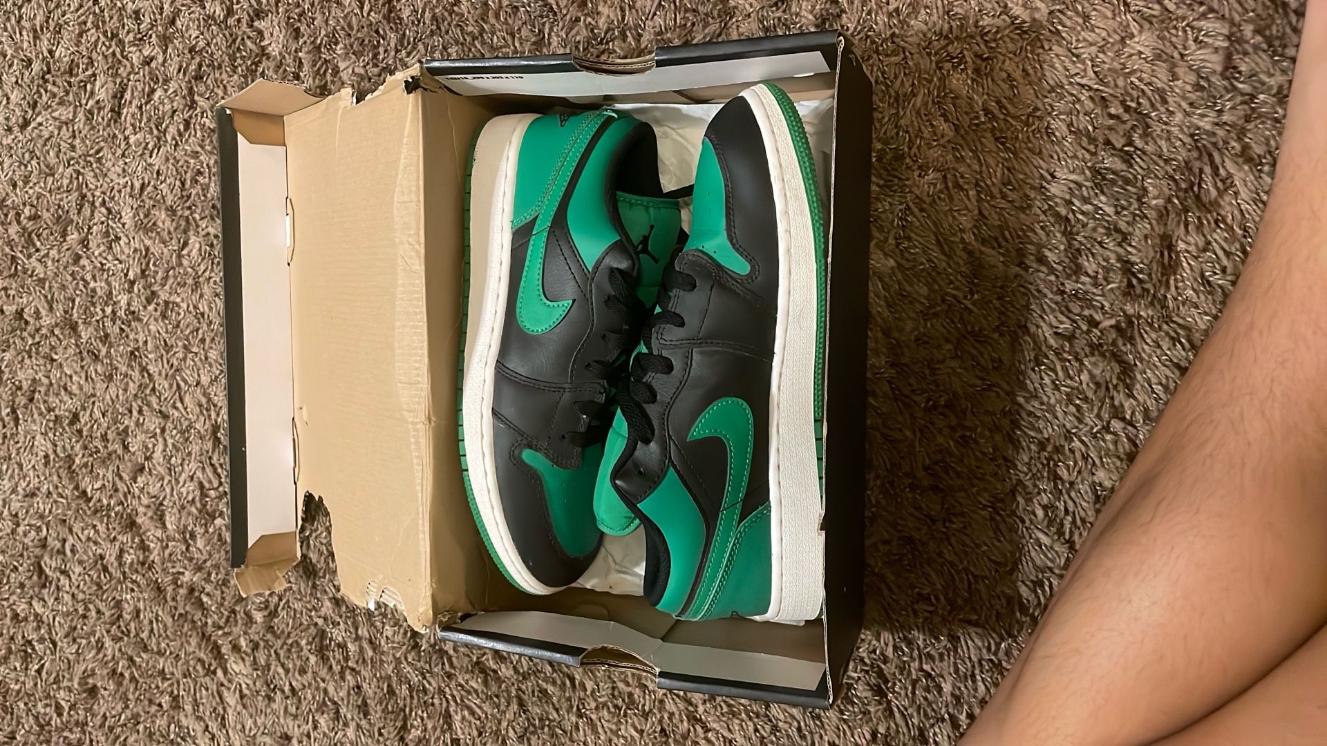 Jordan 1 Lows Brand New