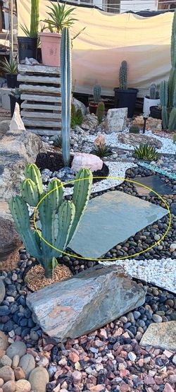 Flagstone / stepping stone