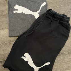 Mens Puma Shorts And T-shirt 
