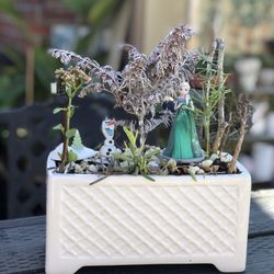 $19 Frozen Inspired Fairy garden