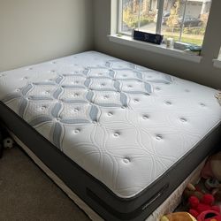 Sealy Queen size Mattress and box spring