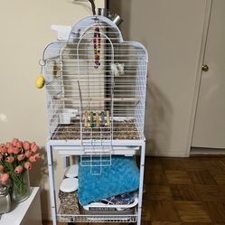 Bird Cage