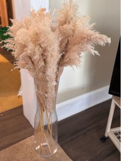 Large tall vase with 40” Pompas  included (10).