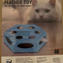 Cat Toy