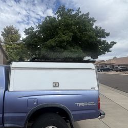 Truck Bed Camper Shell / Utility Topper