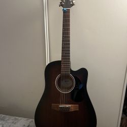 Mitchell 12-string