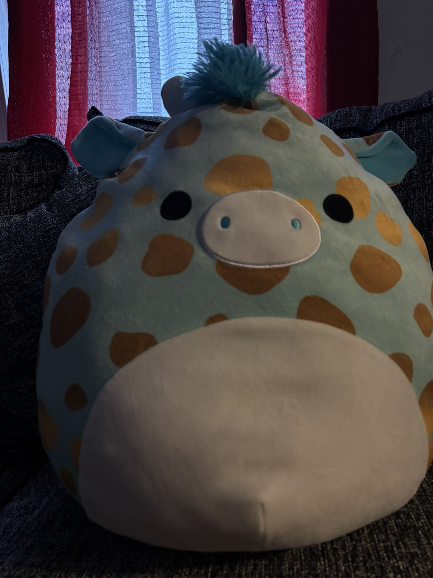 Big Squishmallow