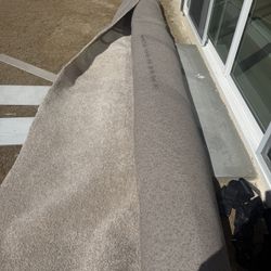 Carpet 