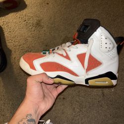 Gatorade Jordan 6s 