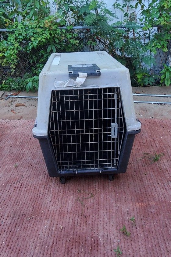 XL travel kennel 