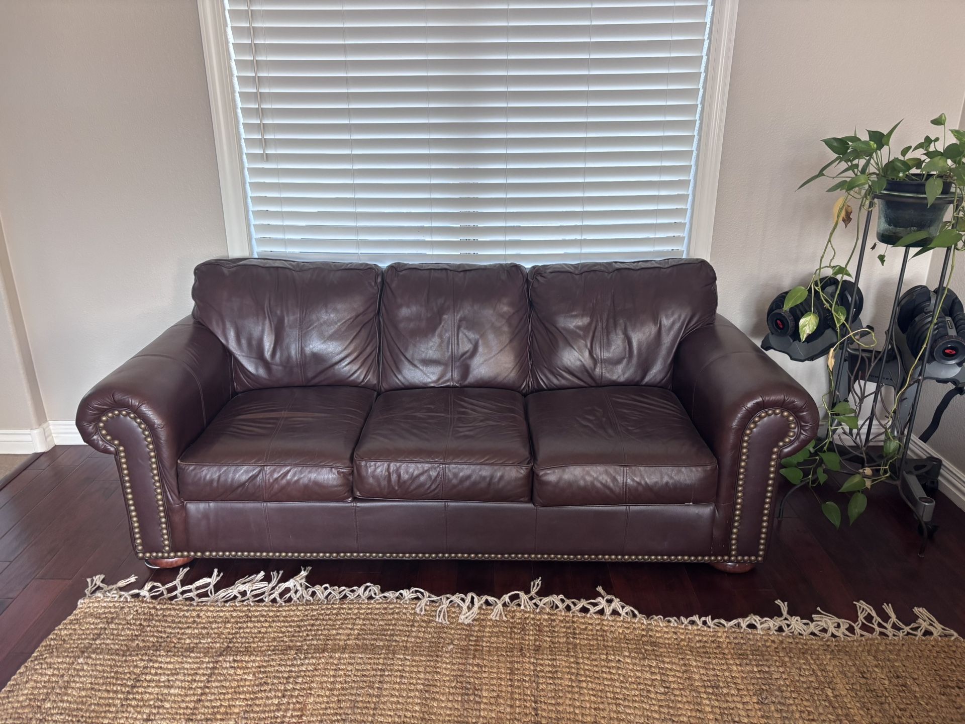 Leather Sofa Sleeper Couch