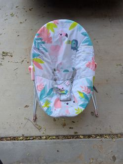 Baby Bouncer