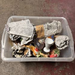 Food Display (Made In Japan)