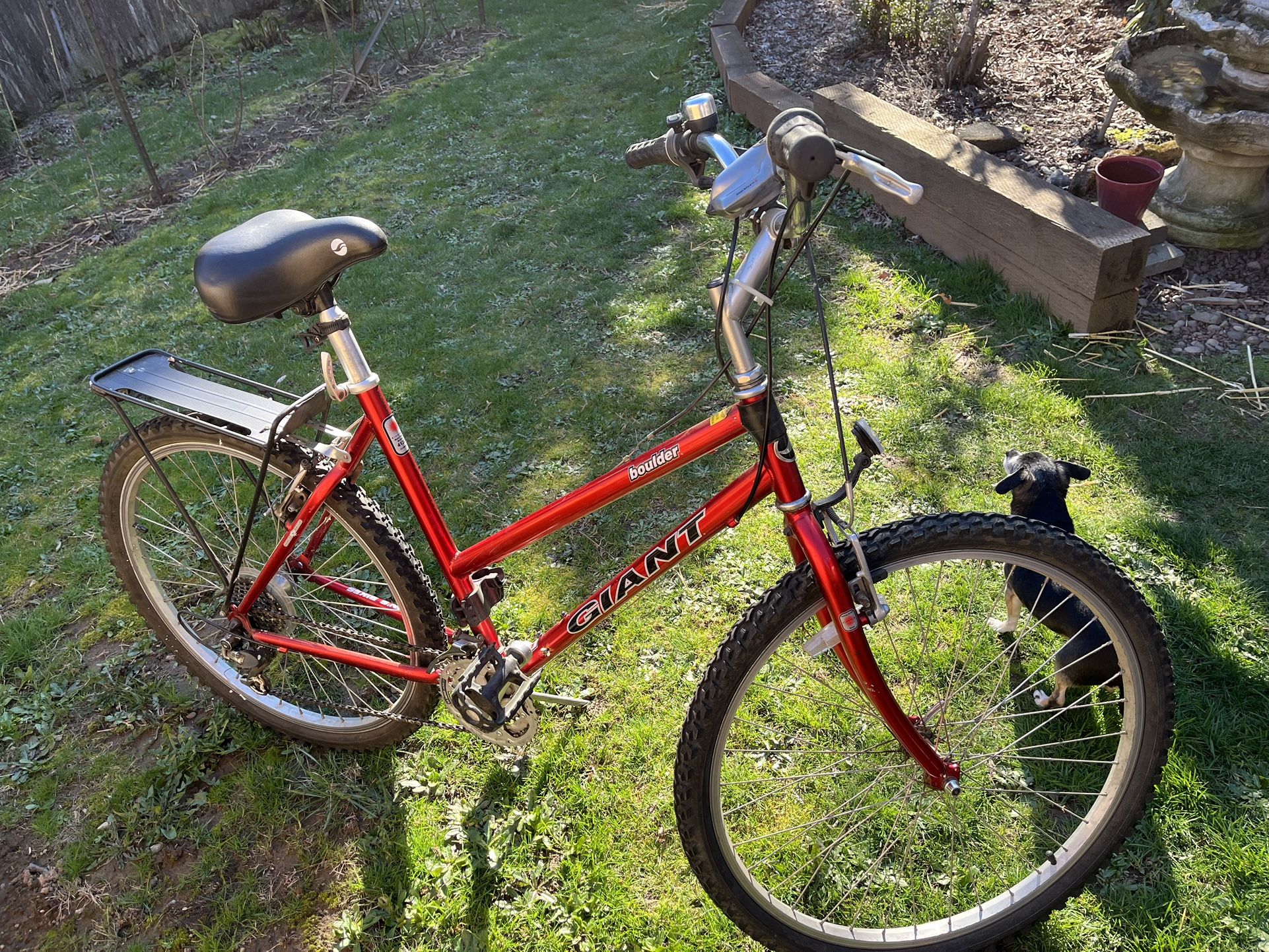 Giant Boulder Mountain Bike For Adults With accessories