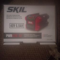 Skil 40v 6ah Power Tool Battery