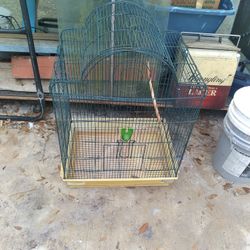 Bird Cage