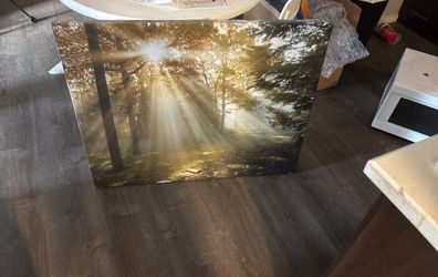 Large Canvas Wall Pic Trees And Sun 38x30