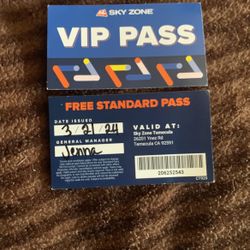 Two 90- minute skyzone passes 