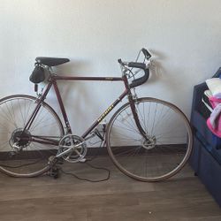 Nishiki Bike Marina 12