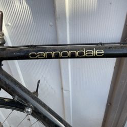 Cannondale