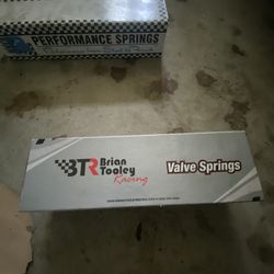 Valve Springs Camaro New
