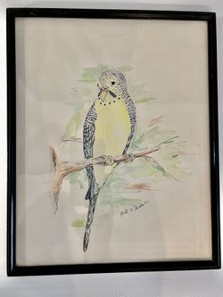 Original Bird Watercolor signed By Bob O’Donnell