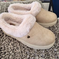 New Sketchers Bobs Sleepers Women’s 