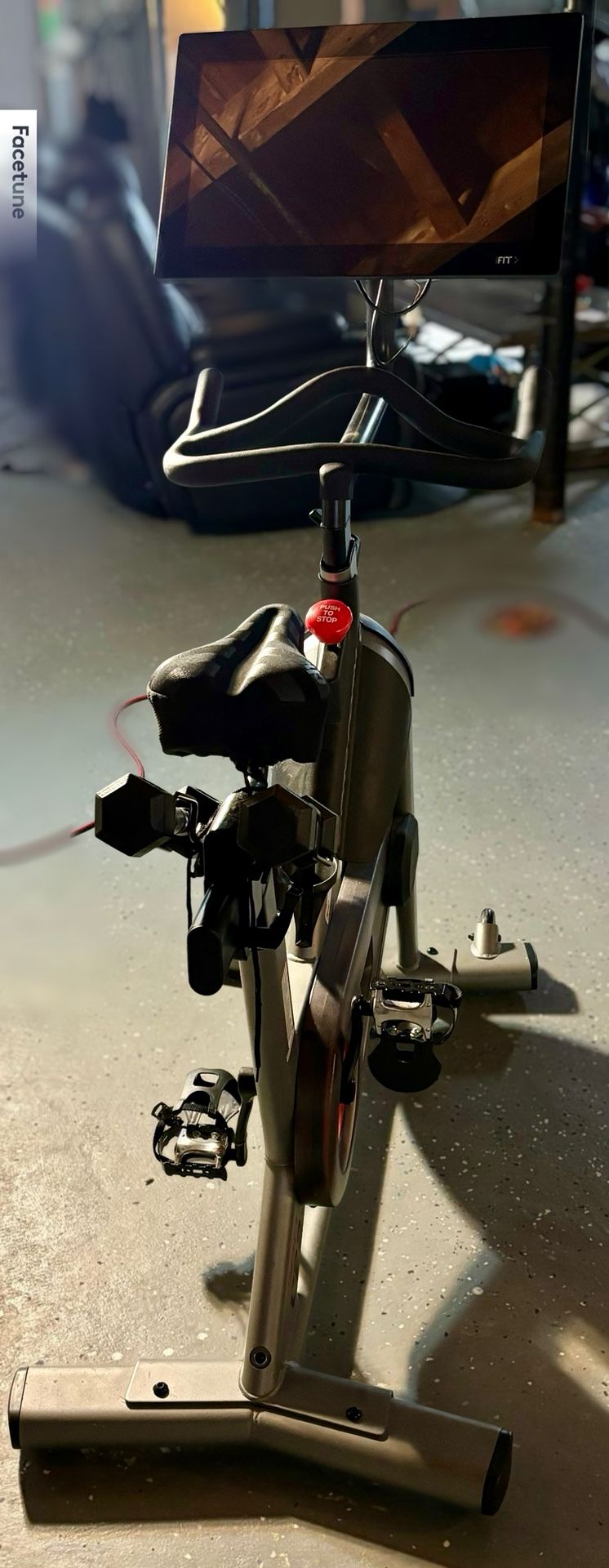 ProForm Bike