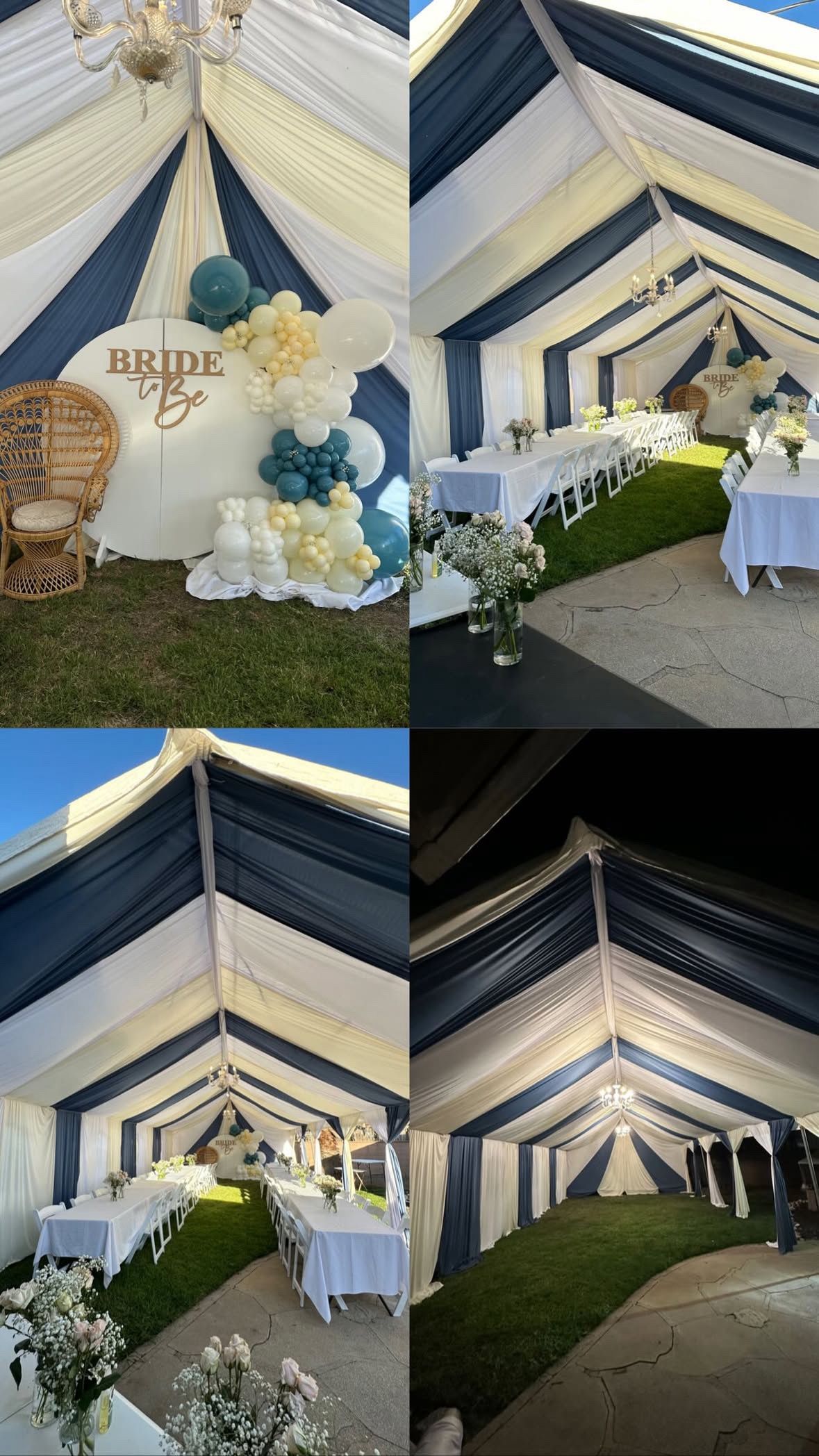 Balloon Backdrop And More 