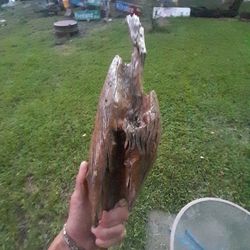 Driftwood 