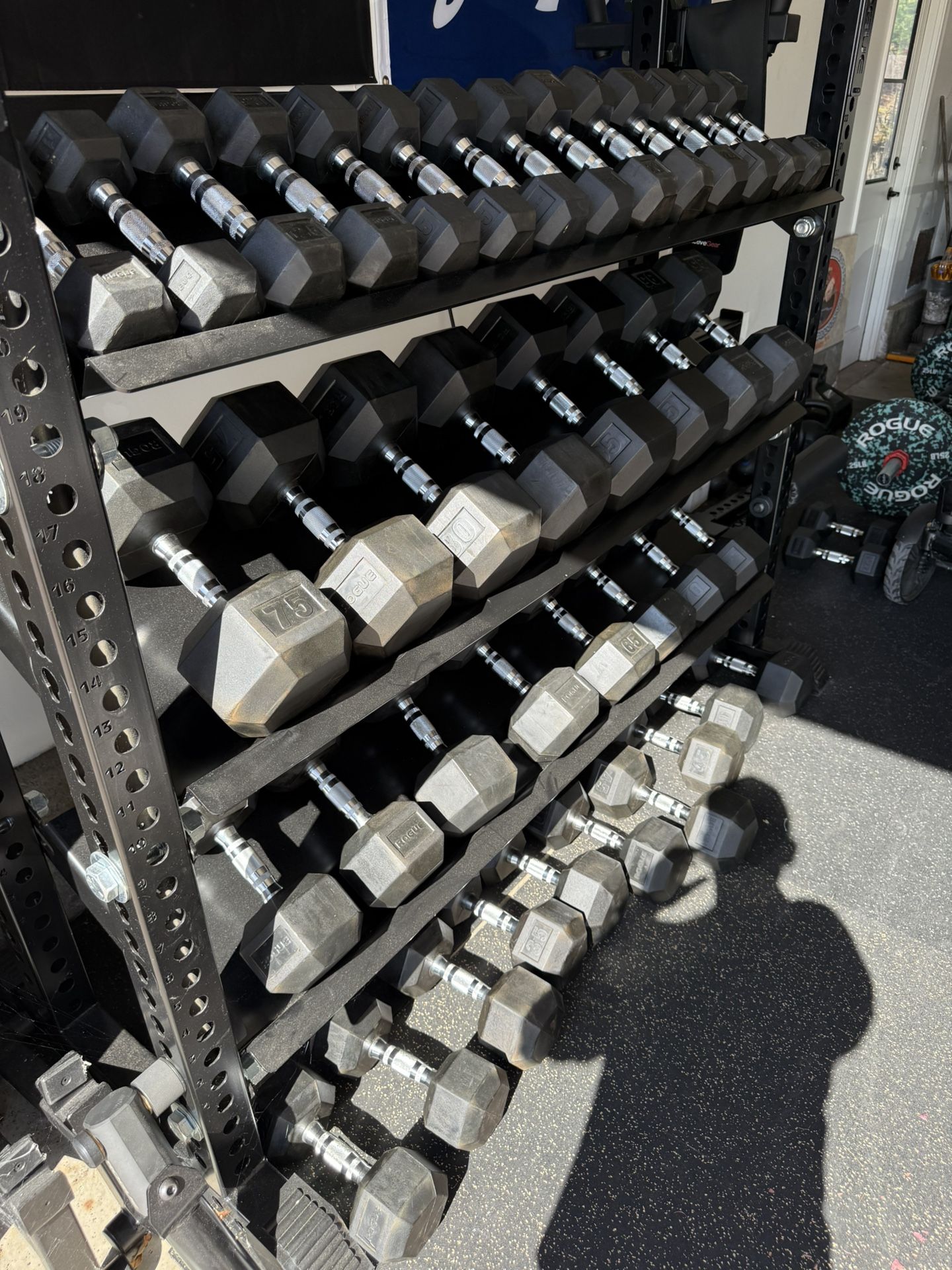 Rogue Dumbbells With Monster Mass storage