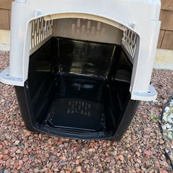 Dog Kennel 