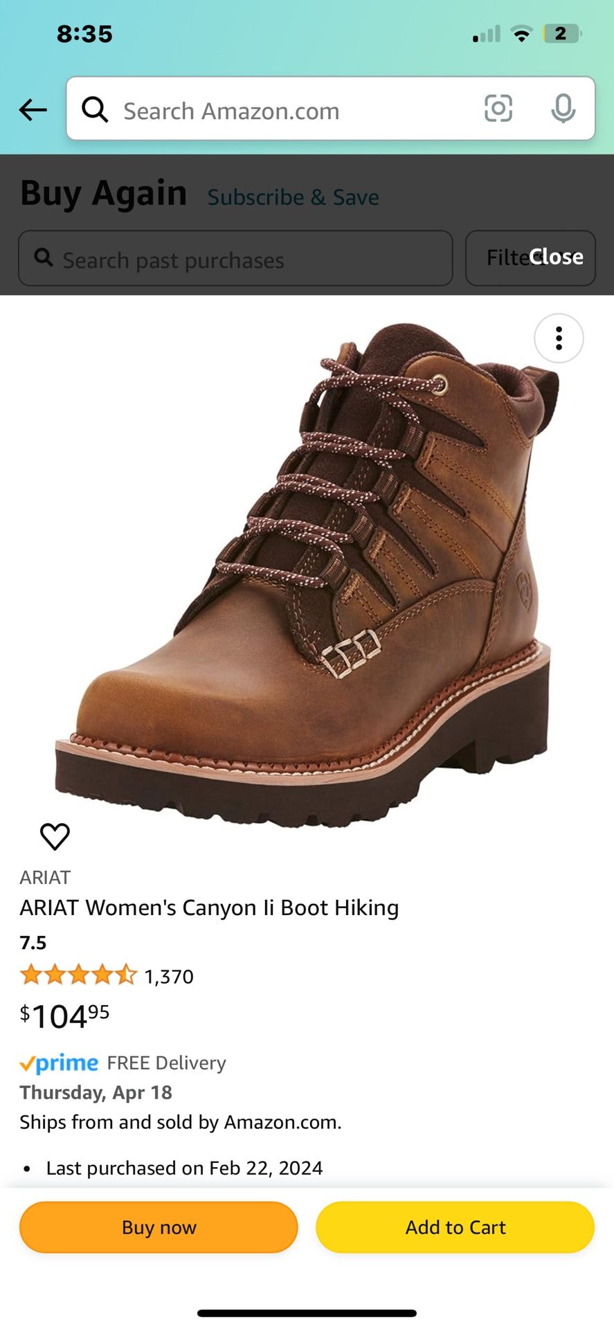 Ariat  hiking Boots