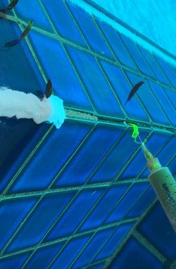 Pool Leak Detection