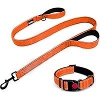 Collar/padded Leash Como Large