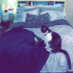 queen Size Bed Frame With Shelves