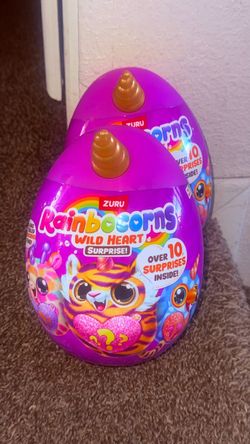 Rainbocorns Surprise