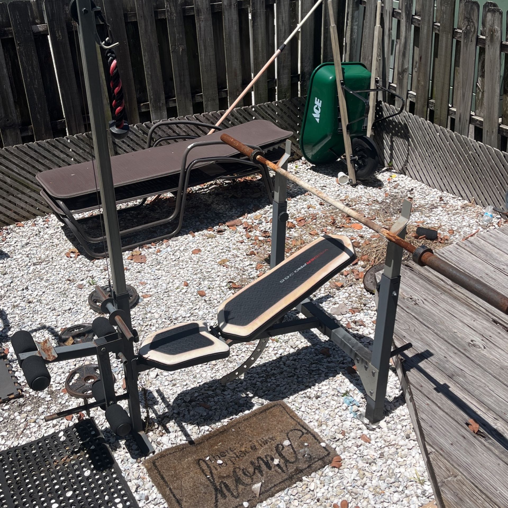 Full Weight Set $300 OBO! Or Individual $1 Per Pound